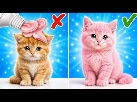 Cuddly Kitten Rescue Adventure! 🐾 Clever Tips and Tools for Pet Care