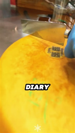 Part1.Olas just wandeing off at Disneyland Paris at the New World of Frozen coming next March! Beyond cute#disneyland #WorldOfFrozen#frozen #disneyadventureworld#disneylandparis