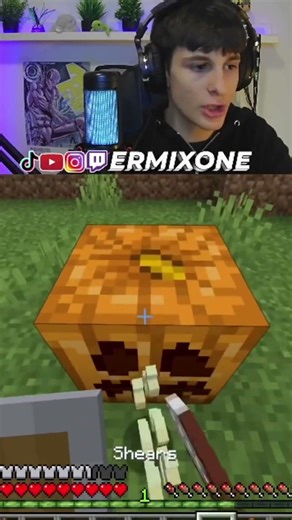 Here's a PUMPKIN FARM