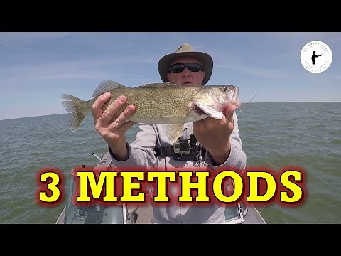 Three Methods for Catching Lake Erie Walleye
