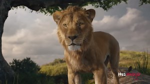 Top 10 Things We Need Mufasa: The Lion King to Answer
