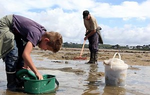 Amendes, zones, quantités… Tout savoir sur la pêche à pied, à l’heure des grandes marées