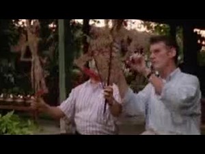 Michael Palin's Journey in Java | BBC Studios