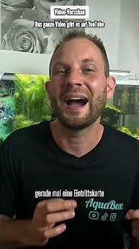 5 fish that can be kept in aquariums from 240 liters upwards