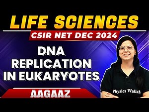 CSIR NET 2024: DNA Replication in Eukaryotes-Molecular Biology for CSIR NET | CSIR NET Life science