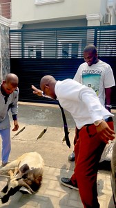 15K views · 370 reactions | TOMORROW FOR MY GOD SENT CAREER HELPER KING  TUNDE EDNUT TEAM SK LOVE YOU SIR | sk.records2020 | Facebook