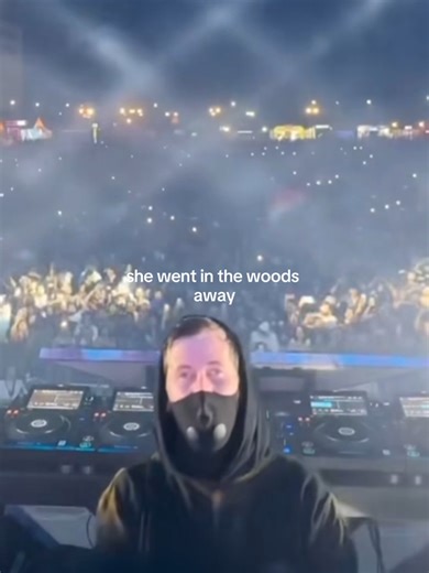 Lily: La Historia de la Pequeña Canción de Alan Walker