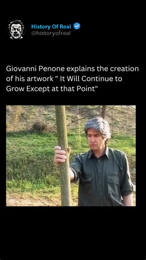 History Of Real 🗡️ | Giuseppe Penone’s work It Will Continue to Grow Except at That Point is a striking exploration of the dialogue between human intervention... | Instagram