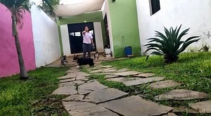 Los sábado y todos los días son de diversión en Playful Pet Small | Playful Pet | Facebook