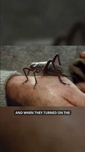 LOTR bloopers: Peter Jackson's BUG SCARE in Fangorn Forest