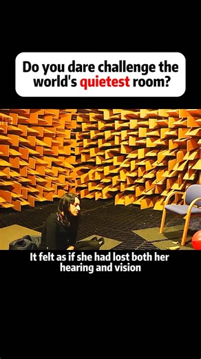 1.7M views · 10K reactions | Do you dare to step inside the world’s...