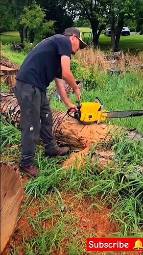 Stihl vs Husqvarna: Which Chainsaw is Actually Better? Honest Test 2026