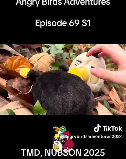 Angry Birds Adventures TMD on TikTok