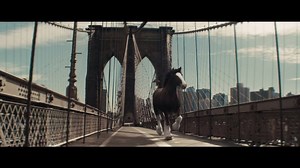 53K views · 1.4K reactions | The Budweiser Clydesdale ad from the 2018 super bowl! | Genius Equestrian | Facebook