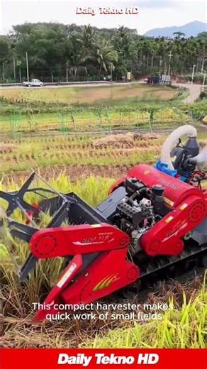 Harvesting Just Got EASIER 🤯 Check Out This Tiny Combine #MiniHarvester