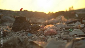 background, grunge, flower, poppy, epic, rebirth, life, ecology, design, nature, old, boot, shoes, brown, dirty, used, trash, battered, tired, torn, trace, clothes, tree, worn, stone, coast, outdoors,