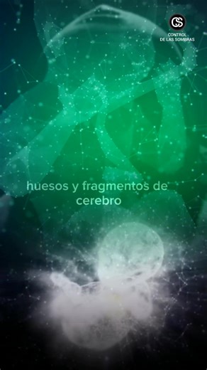 41K views · 1K reactions | UNA DROGA DE ORIGEN BIOLÓGICO, A LA QUE ERES MUCHA GENTE ES ADICTA SIN CONOCERLO #reelsvideoシ #reelsviralシ #viralvideoシ #reelschallenge #instagood #tbt #instagram #usa #tiktok #viralreels | Control de las Sombras. Latinoamérica | Facebook