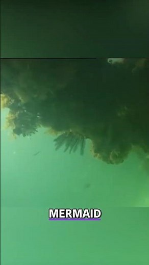 Australian Diver Captures Real-Life Mermaid On Video