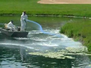 Cutrine Algaecide Application