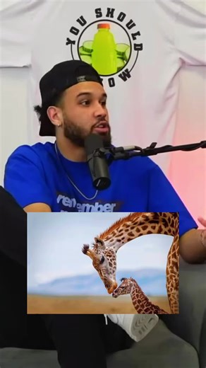 Understanding Animal Communication: How Animals Talk to Each Other