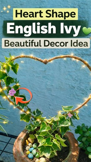 Amazing Ivy Plant Decor 😍 | Heart Shape DIY #shorts #ytshortfeed #ytshortstrending