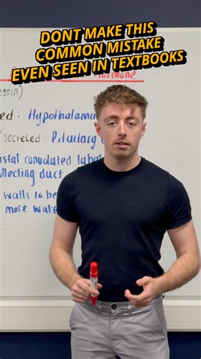 Don’t lose easy marks on ADH in your Leaving Cert Biology exam. Antidiuretic hormone, also known as ADH or vasopressin, is a topic where many students make avoidable mistakes. Make sure you know exactly where it is produced, stored and how it works to secure full marks. Key points to remember: 🧠 Produced in the hypothalamus 🧪 Stored and secreted by the pituitary gland 🧬 Acts on the distal convoluted tubule or collecting duct 💧 Increases permeability so more water is reabsorbed Using the corr