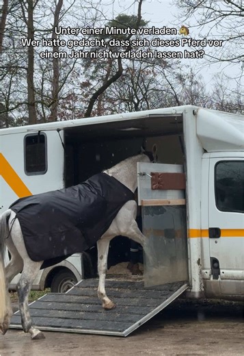 Easy Horse Loading in Under a Minute