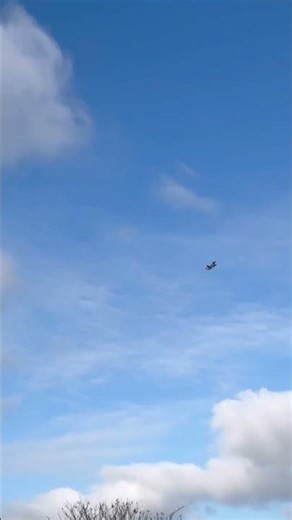 Fighter Jet- unrestricted climb in Daytona Beach Florida! #aviation