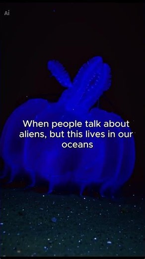 These Deep-Sea Creatures Look Like Aliens 🌊 #ocean #mystery #deepsea