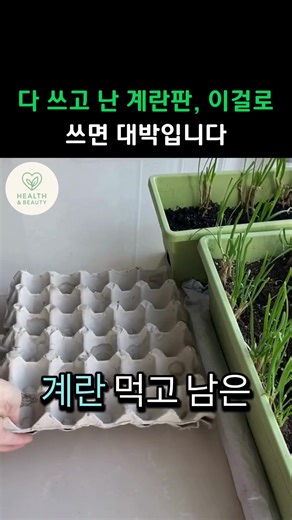 계란판 활용법: 집안의 보물을 찾아라