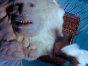 7.8K views · 681 reactions | Basket Case (1982) | The Vault of Horror | Facebook