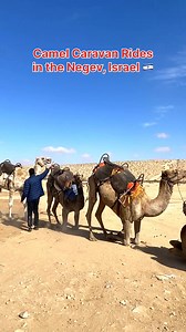 Camel Caravan Ride in the Negev Region Israel 🇮🇱 | Visit Israel From Your Home