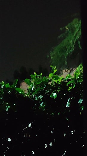 🌧️ Tormenta tropical