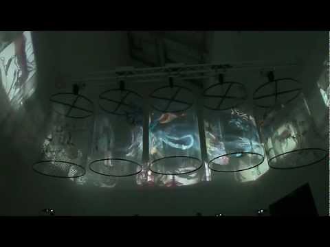 Nalini Malani dOCUMENTA 13