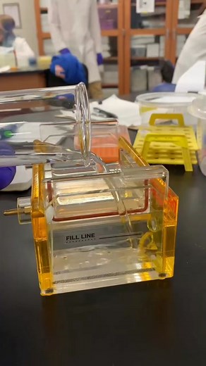 Exploring Genes: First-Year Biology Students' Journey