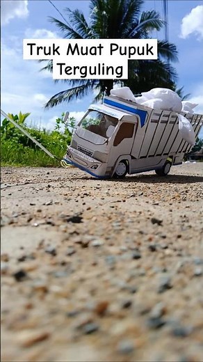 Truk Muat pupuk Terguling😭