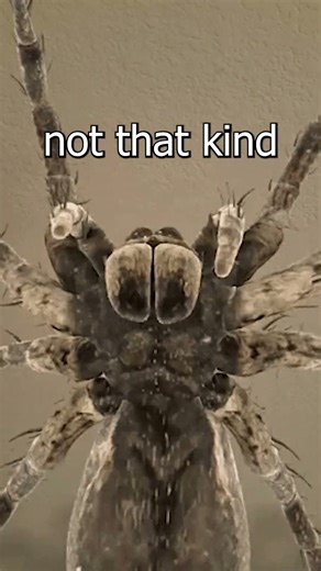 Why Games Can Frustrate Your Child