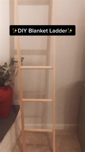 ✨$16 blanket ladder ✨ #diy #easydiy #VibeWithUs #diyinterior #doityourself #woodworkcraft