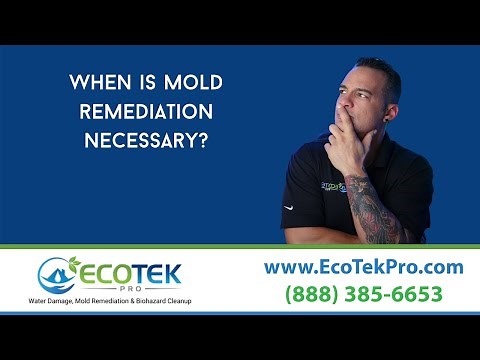 When is Mold Remediation Necessary? [2021]