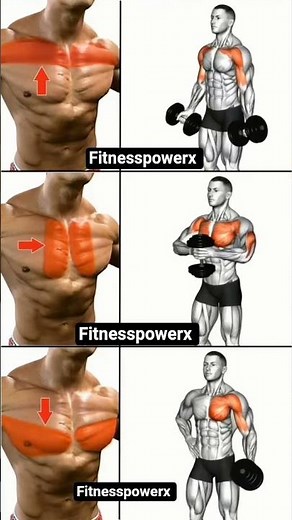 Ultimate Chest Workout for Mass | Build a Bigger Chest Fast!"