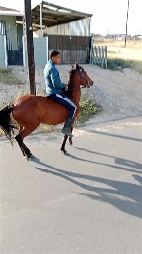 #sama28tiktok #summerise🥵😍👑🔥#makemefamous