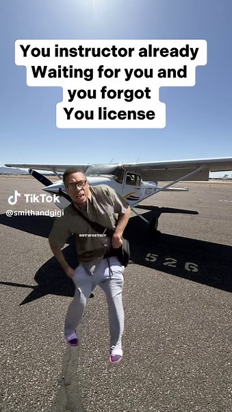 To Fly or Not Fly: Exploring the Meme