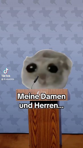 “Rob & Chris - Sad Hamster (TikTok Mix)” Out Now! #sadhamster #remix #outnow #newmusicfriday #hypertechno | Rob und Chris