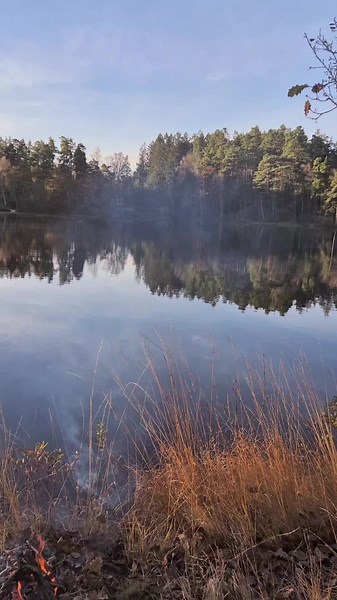 #fishing #outdoors #sea #sunset #salmon #trout #seatrout #fyp #foryou #foryoupage