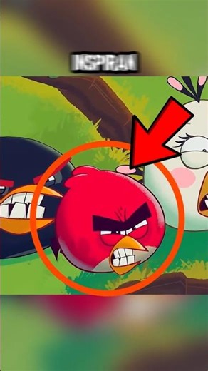 WHAT BIRDS INSPIRED THE CHARACTERS OF ANGRY BIRDS?
