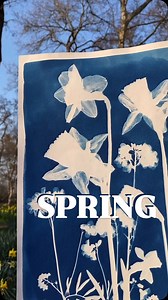 Which spring blossom are you most looking forward to welcoming back again? 🌼 The @theroyalparks are one of the best places to spot beautiful planting and enjoy the new blossoms. Yesterday was the start of Spring… well the by the meteorological calendar, spring always starts on March 1st. Even though the 20th of March is the official start of Spring. The Met office states that seasons are split to coincide with our Gregorian calendar, making it easier for meteorological observing and forecasting