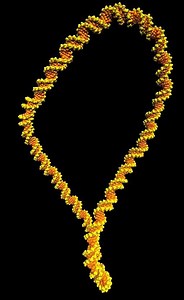 Researchers have utilised atomic force microscopy and atomistic molecular dynamics simulations to resolve structures of negatively-supercoiled DNA minicircles at base-pair resolution. Read the paper, published in Nature Communications, here: https://go.nature.com/3qbcsgt | Nature Portfolio