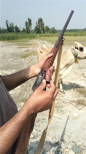 Vintage British Shotgun Review: A Collector's Dream | Classic British Shotguns