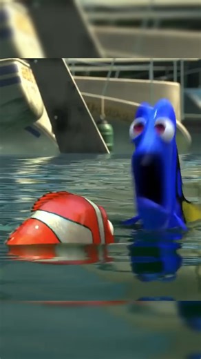 Finding Nemo caught in 4k