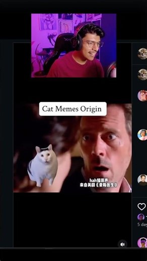 The origin of the most viral cat memes 😂🐱 #catmemes #reaction